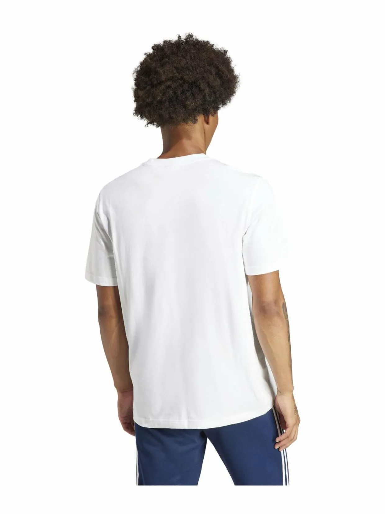 Adicolor Trefoil t-paita