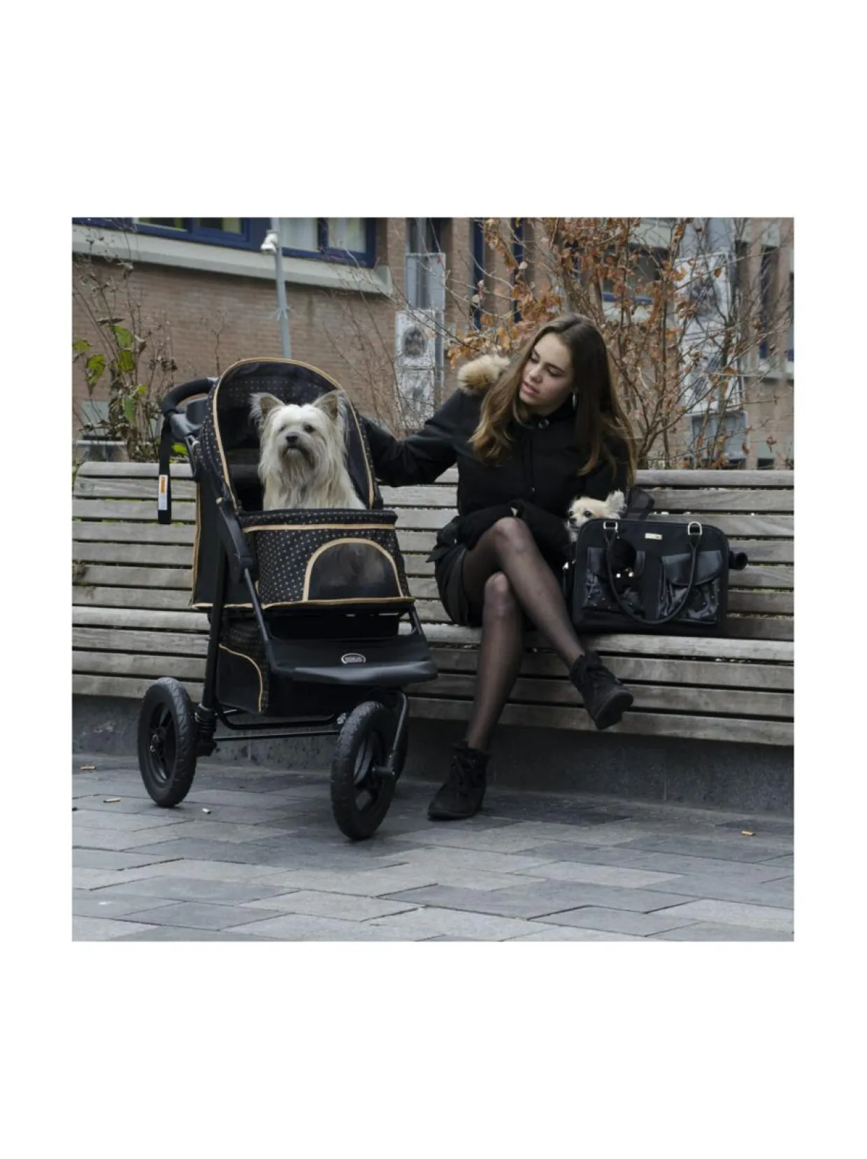 Adventure lemmikkirattaat