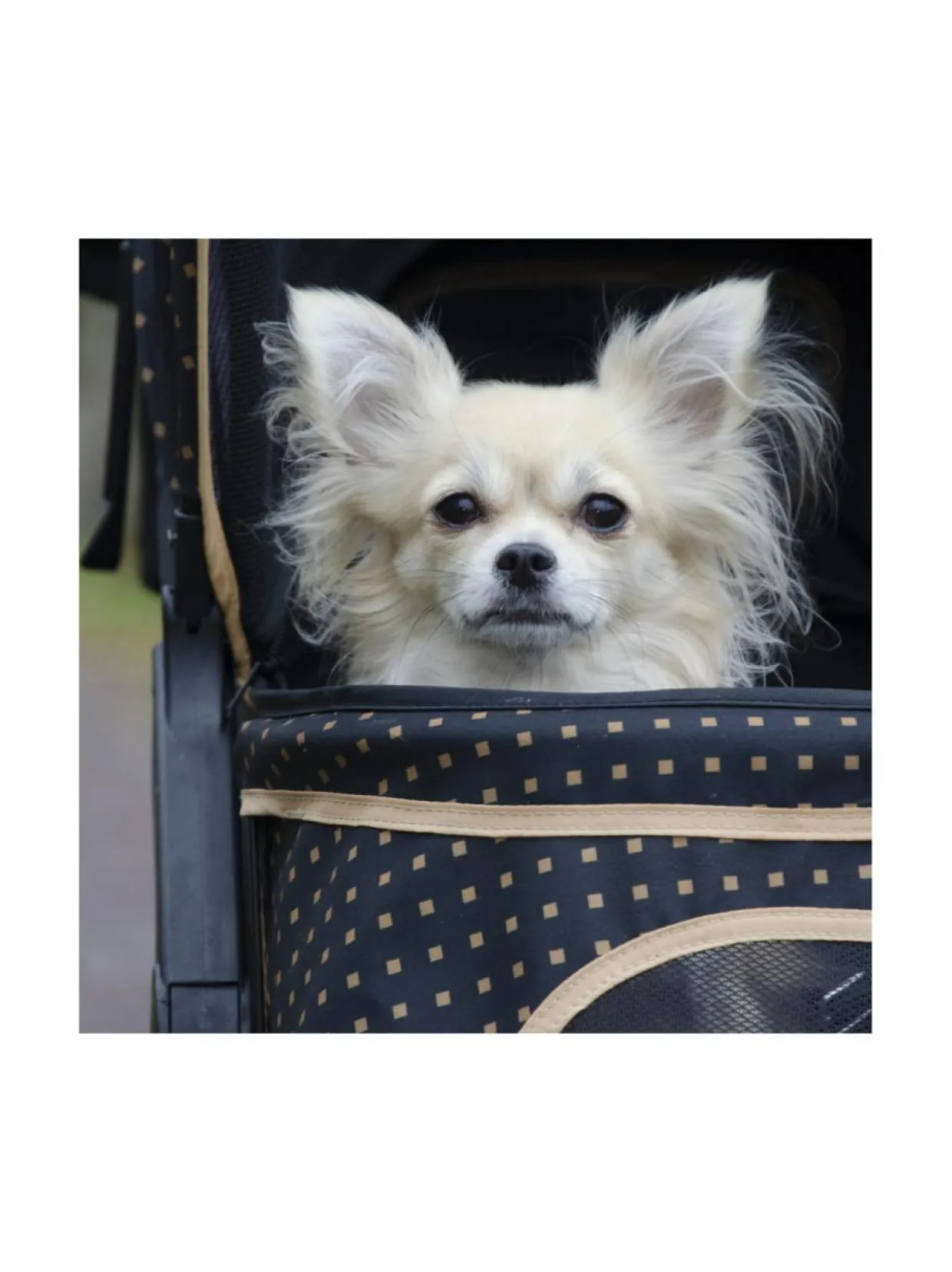 Adventure lemmikkirattaat