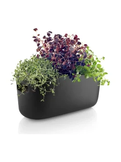 Altakasteleva yrttilaatikko musta