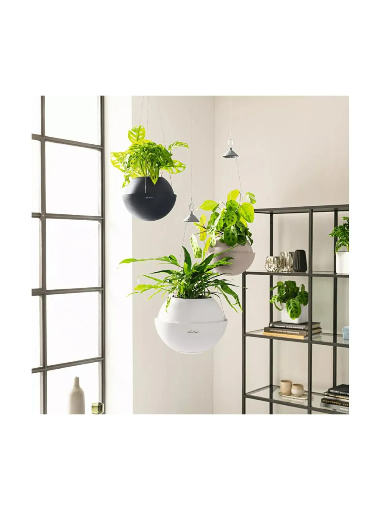 Amppeli Bola Color altakasteluruukku Lechuza