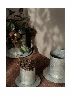 Auran Large -rautaruukku