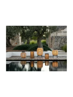 Aurinkokennovalaisin Tika 41 cm, Camel