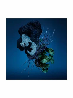 Bad Boy Cobalt EdP -tuoksu