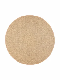 Barrakuda-sisalmatto