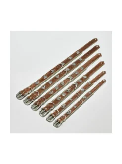 Bavaria kaulapanta ja hihna - Ruskea & vihreä