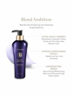 Blond Ambition Purple Treatment -hopeahoitoaine 300ml