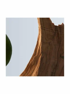 Bottled Deo Stick -deodorantti 75 ml