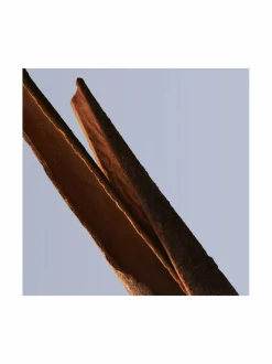 Bottled Deo Stick -deodorantti 75 ml