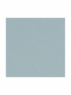 Camelia Passport -passikotelo