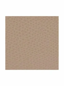 Camelia S Compact -nahkalompakko