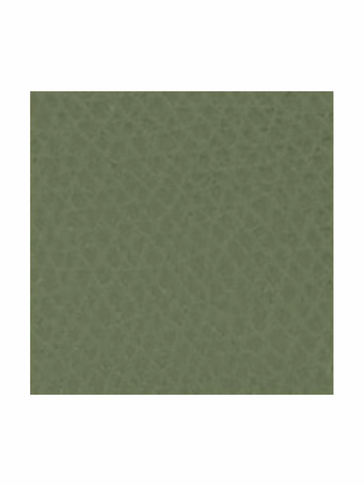 Camelia S Zipped -korttikotelo