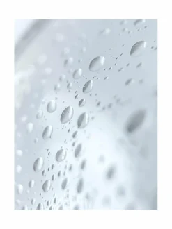 Century Flower Barrier Defence Mist -rauhoittava kasvovesisuihke 100 ml