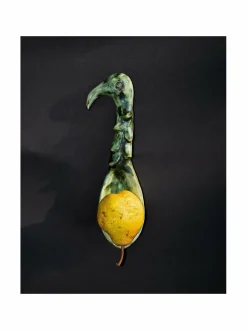 Cosas Lindas -tarjoilulusikka