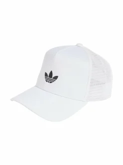 Curved Trucker -lippalakki