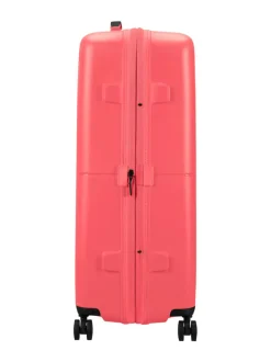 DASHPOP SPINNER 77/28 EXP