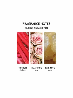 Delicious Rhubarb & Rose Body Wash -suihkugeeli 300 ml