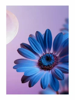 Dream Foaming Shower Gel -vaahtoava suihkugeeli, 250ml