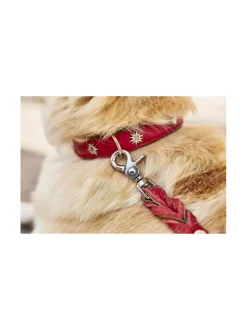 Edelweiss kaulapanta ja talutushihna