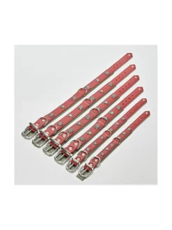 Edelweiss kaulapanta ja talutushihna