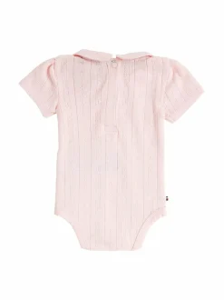 Essential Pointelle -body