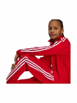 Firebird-verryttelyhousut