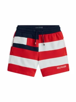 Flag All Over Stripe -shortsit