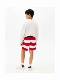Flag All Over Stripe -shortsit