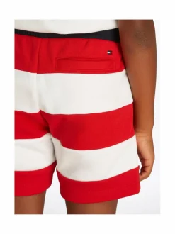 Flag All Over Stripe -shortsit