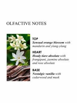 Flora Luminare Body Wash -suihkugeeli 300 ml