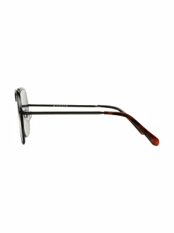 Francoise-aurinkolasit