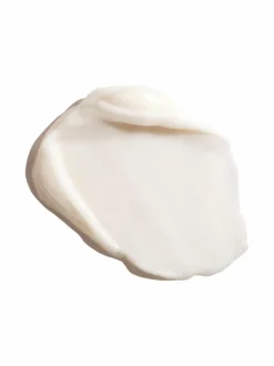 Ginseng Power Eye -silmänympärysvoide 15 ml