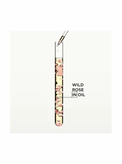 Gloss Absolu Glaze Drops Hair Oil -hiusöljy