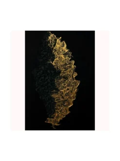 Golden Mist 100x150cm canvas taulu