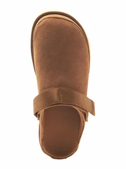 Goldenstar-pistokkaat