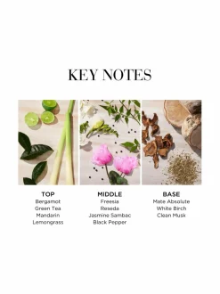 Green Tea Citron Freesia EdT -tuoksu