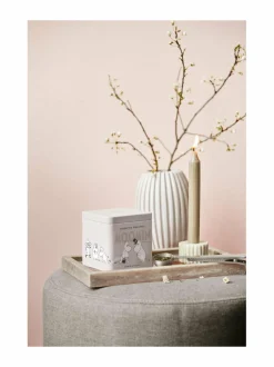 Green Tea Pineapple -irtotee 80 g