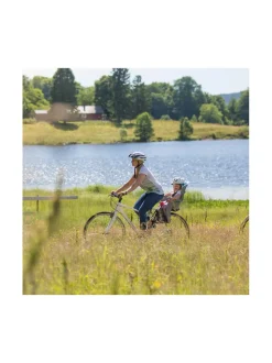 Hamax Sleepy pyöränistuin