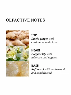 HEAVENLY GINGERLILY -käsivoide 300 ml