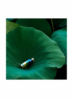 Herbal Aquatica EdP -tuoksu, 100 ml