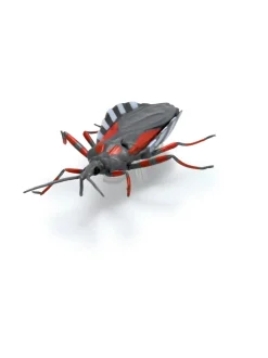 HEX BOTS Interaktiivinen Nano Real Bugs, 5 kpl