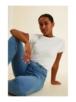 HOLLY Viisitaskufarkut