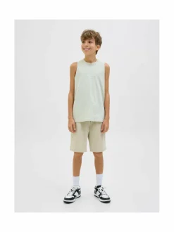 JpstVesterbro-collegeshortsit