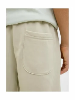 JpstVesterbro-collegeshortsit