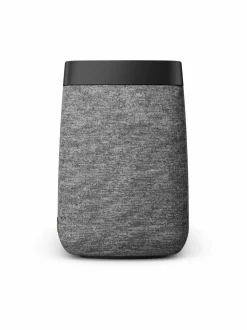 Karl Big -ilmankostutin