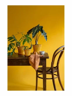 Københavner-ruukku Ø 10 cm