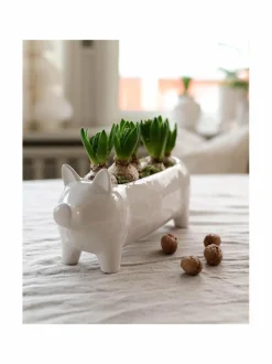 Kim Pig S -ruukku 27 x 9 x 11 cm