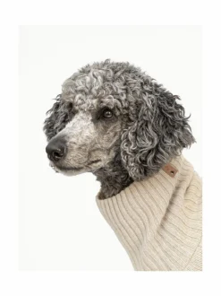 Koiran neule, palmikko, vaalea beige