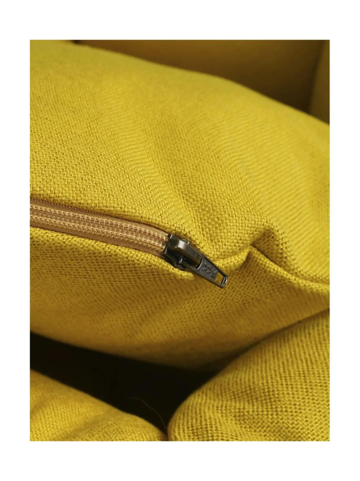 Koiranpeti Luoto Kanto x Kvadrat