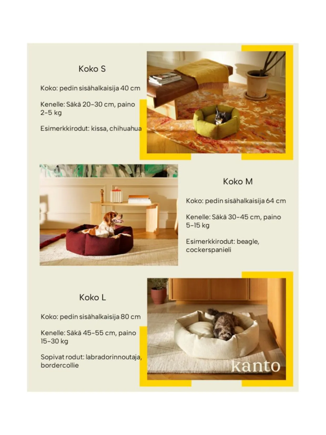 Koiranpeti Luoto Kanto x Kvadrat